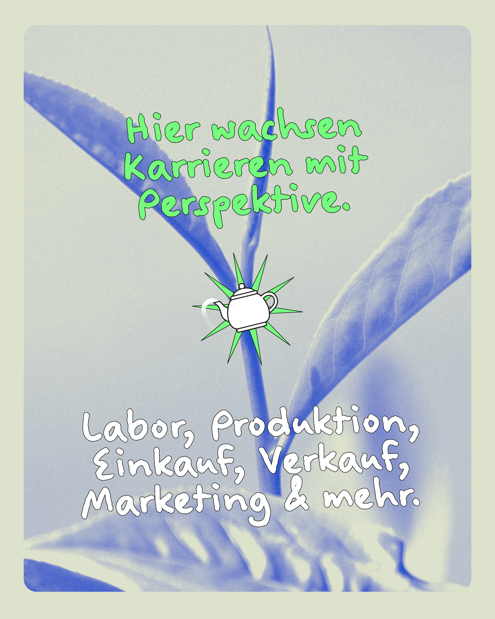 Hier wachsen Karrieren mit Perspektive.